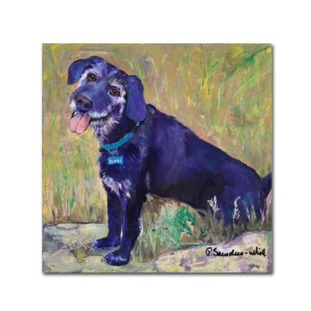 Trademark Fine Art Pat Saunders-White 'Blaze' Canvas Art, 14x14 PS150-C1414GG